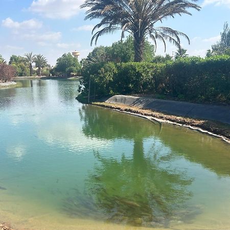 Villa Louisa Piscine Privee Sans Vis A Vis Dyar Shemsi タルーダント エクステリア 写真